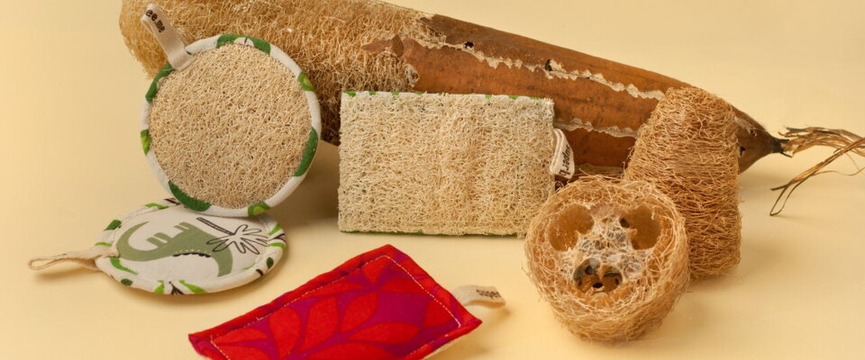 9 Gründe, warum natürliche Luffa-Schwämme besser sind als Plastik - Natürliche Luffa-Schwämme: Die bessere Alternative zu Plastik