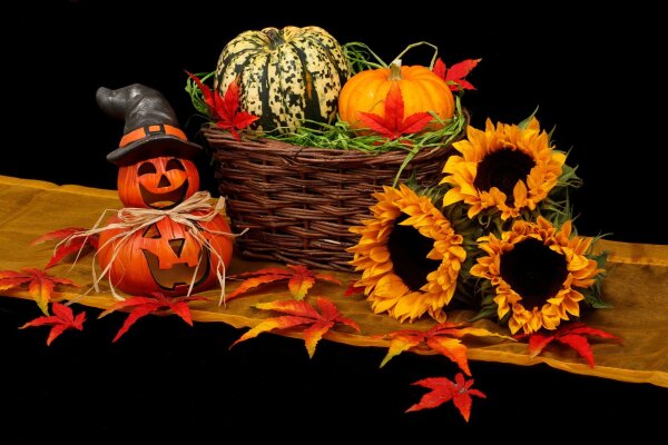 Zero-Waste Halloween Tipps - Halloween-Tipps - Nachhaltig feiern mit SuperBee